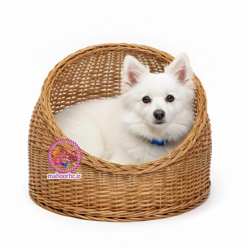 سبد-جای-خواب-سگ-حصیری.jpg