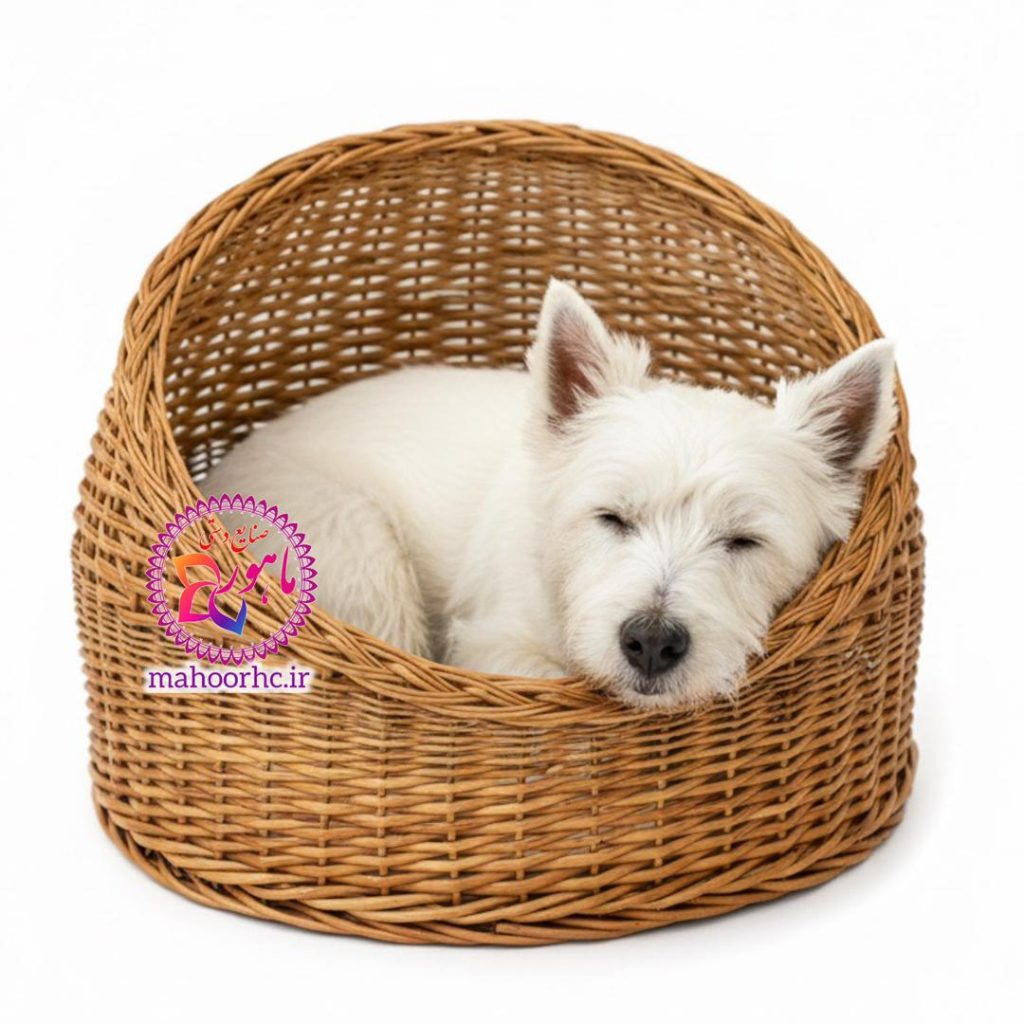 سبد-جای-خواب-سگ-حصیری.jpg